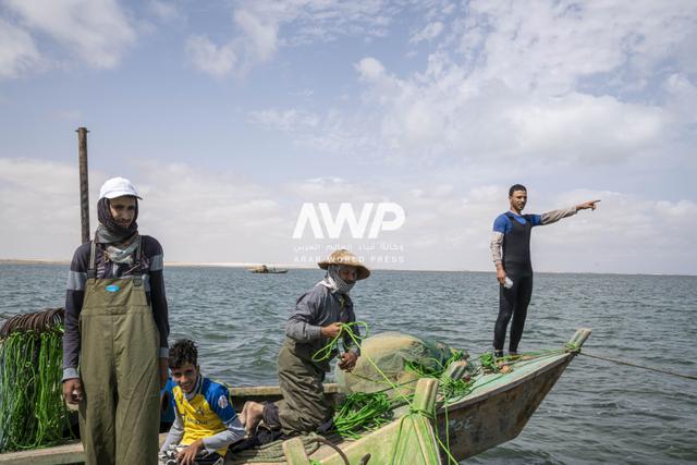 صيادون على متن قارب وسط بحيرة البردويل في محافظة شمال سيناء بشمال شرق مصر مع انطلاق موسم صيد السمك فيها وسط تفاؤل بإنتاج وفير هذا العام (27 أبريل نيسان 2024)