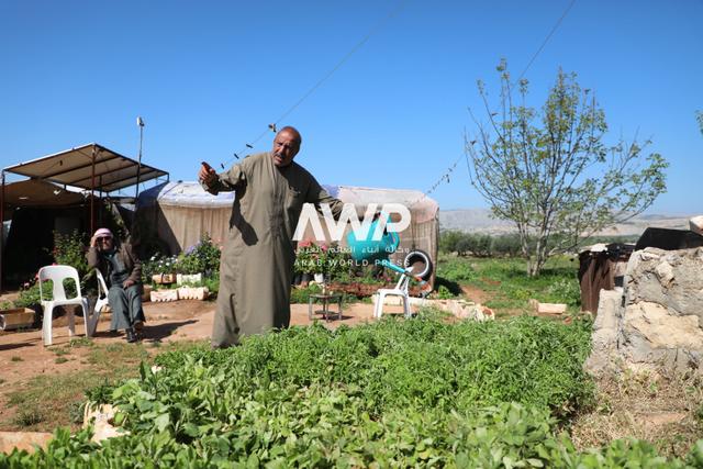  المهندس عيد العيسى يعتني بالشتلات التي زرعها بجوار خيمته في قرية عرب سعيد بمحافظة إدلب شمال غربي سوريا حيث يزرع شتلات الخضار ويوزعها على المزارعين المحتاجين مجانا (15 أبريل نيسان 2024)